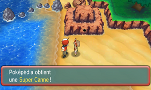 Route 118 Super Canne ROSA.png