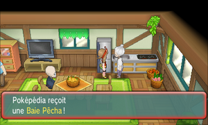 Route 123 Baie Pêcha ROSA.png