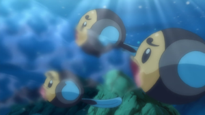 Tritonde Ultrason.png