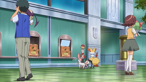 XY138 - Tarsal d'un Dresseur.png