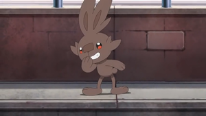 Flambino au pelage sombre LV004.png