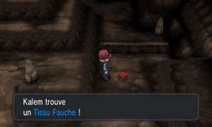 Grotte Coda Tissu Fauche XY.png