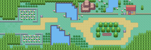 Pokémons Sauvages 300px-Route_117