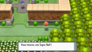 Route 212 Super Ball 1 DEPS.png