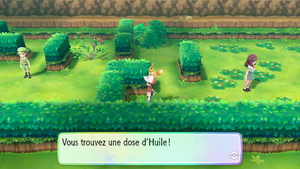 Route 25 Huile LGPE.png