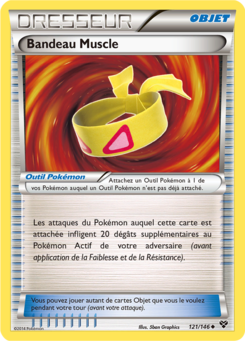 Bandeau Muscle (XY 121)
