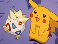 Pikachu (de Sacha) et Togepi (d'Ondine)