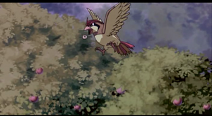 Film 04 - Roucoups Sauvage.png