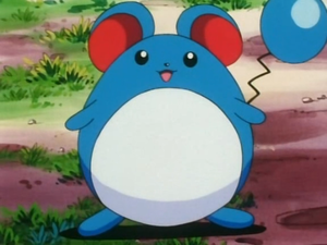 Marill de Joséphine.png