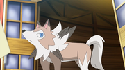 Lougaroc(d'Alyxia)