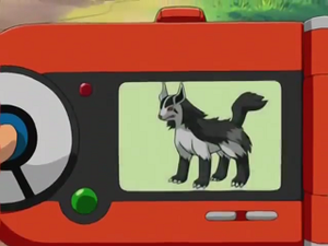 AG011 - Grahyèna Pokédex.png