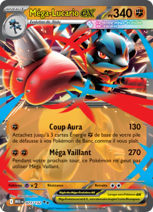 Carte Méga-Évolution 077.png