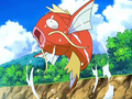 Magicarpe (de Jessie) (2e étape)