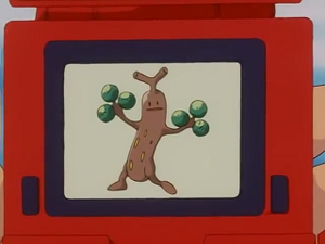 EP162 - Simularbre Pokédex.png