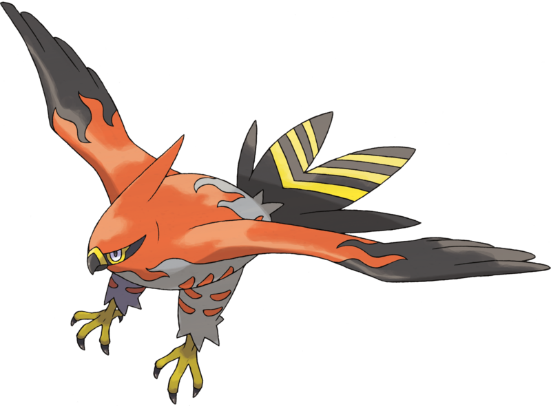 Fichier:Flambusard-XY.png