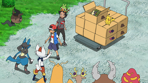 LV070 - Parasect de Goh.png
