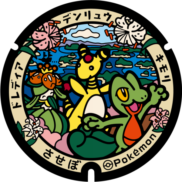 Fichier:Poké Lid 355 Sasebo.png