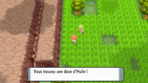 Route 210 Huile DEPS.png