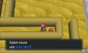 Usine de Poké Balls Huile Max XY.png
