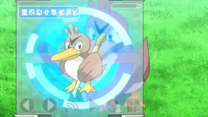 XY050 - Canarticho Pokédex.png
