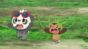 XY076 - Pandespiègle de Serena et Marisson de Lem.png