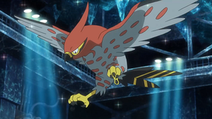 XY122 - Flambusard de Sacha.png