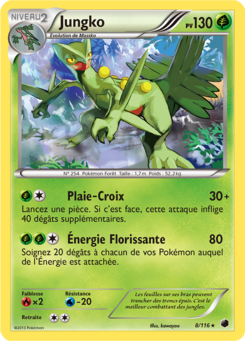 Jungko (Noir & Blanc Glaciation Plasma 8)