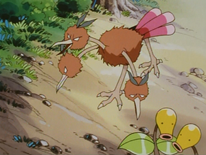 EP025 - Dodrio et Chétiflor.png