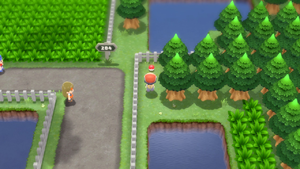 Route 204 Anti-Para DEPS.png