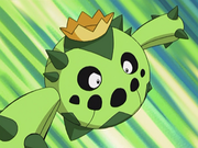 Cacnea(de James)