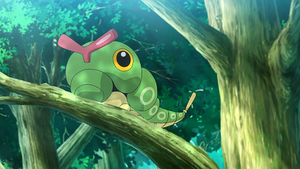 LV120 - Chenipan.png