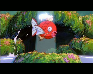 Mini-Film 02 - Magicarpe Sauvage.png