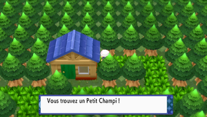 Route 221 Petit Champi DEPS.png