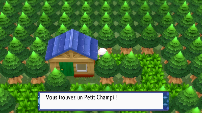 Fichier:Route 221 Petit Champi DEPS.png