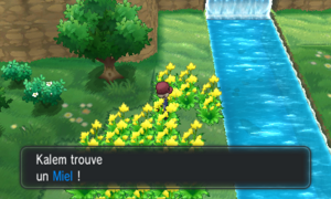 Village Pokémon Miel XY.png
