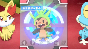 XY004 - Marisson Pokédex.png