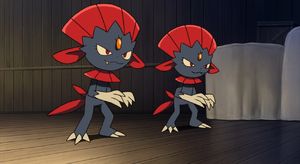 Dimoret de Kidd Summers.png