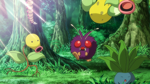LV136 - Chétiflor, Mimitoss et Mystherbe.png