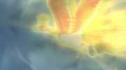 Ho-Oh(sauvage)