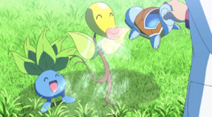 Mystherbe et Chétiflor sauvages Film 20.png