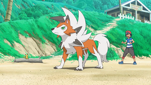 SL056 - Lougaroc de Sacha.png