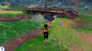 Taupiqueur d'Alola Forêt Flexion 8 EB.png