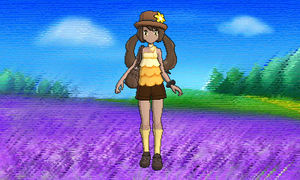 Vidéo Dresseur Décor Luminosité Luminosité normale.png