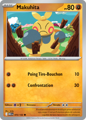 Carte Méga-Évolution 072.png