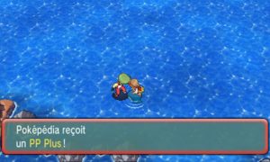 Chenal 108 PP Plus ROSA.png