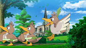 LV018 - Canarticho.png