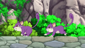 NB086 - Rattata.png