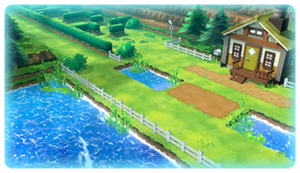 Route 25 (Kanto) LGPE.png