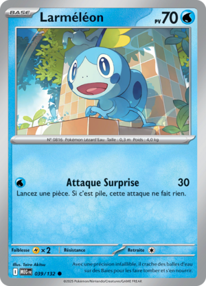 Carte Méga-Évolution 039.png