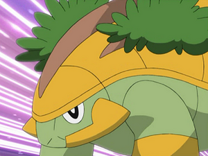 DP106 - Boskara de Sacha.png